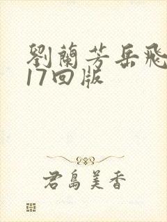 刘兰芳岳飞传117回版