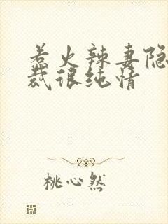 惹火辣妻隐婚总裁很纯情