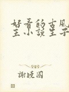 好看的古风双男主小说生子