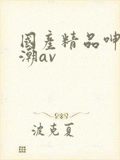 国产精品呻吟高潮av