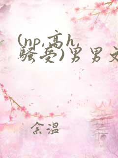(np,高h,骚受)男男文