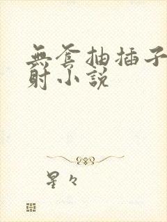 无套抽插子宫内射小说