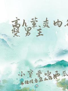 高h荤爽肉欲文双男主