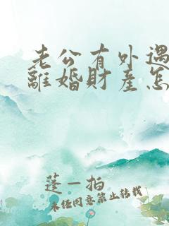 老公有外遇起诉离婚财产怎么分割