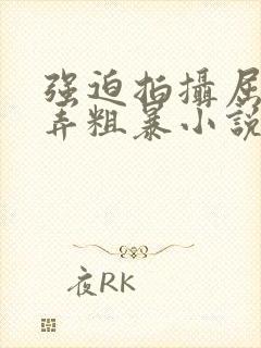 强迫拍摄屈辱玩弄粗暴小说