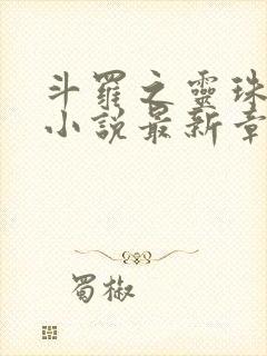 斗罗之灵珠神剑小说最新章节