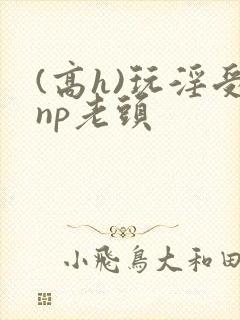 (高h)玩淫受np老头