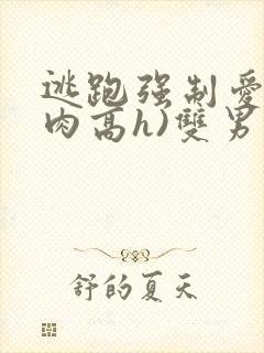 逃跑强制爱(巨肉高h)双男主