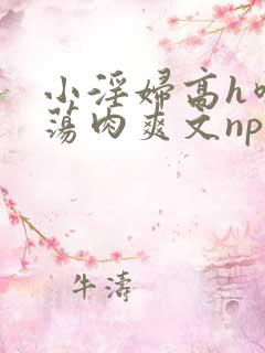 小淫妇高h喷水荡肉爽文np文