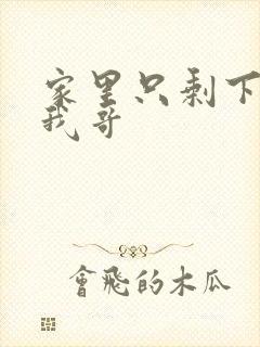 家里只剩下我和我哥