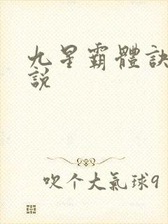 九星霸体诀 小说