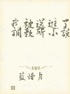 我被送进了私奴调教所小说