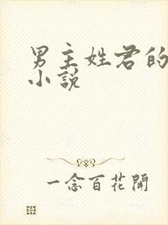 男主姓君的现代小说