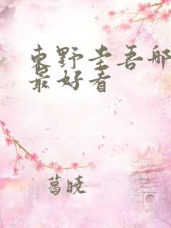 东野圭吾哪些书最好看