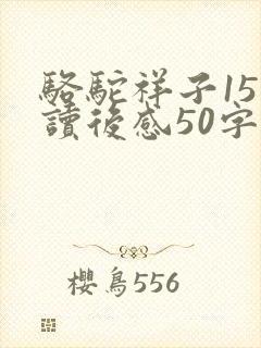 骆驼祥子15章读后感50字