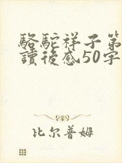 骆驼祥子第二章读后感50字