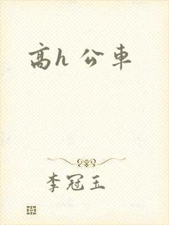 高h 公车