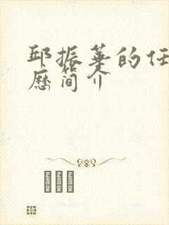 邱振华的任职经历简介