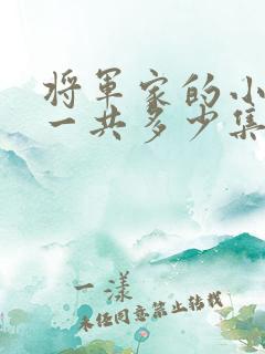 将军家的小娘子一共多少集