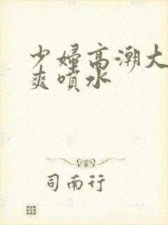 少妇高潮大叫好爽喷水