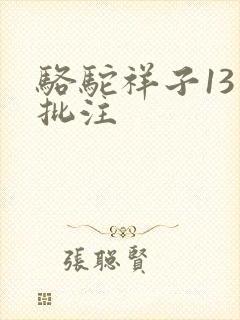 骆驼祥子13章批注