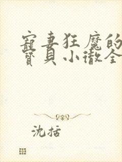 宠妻狂魔的黏人宝贝小彻全文阅读