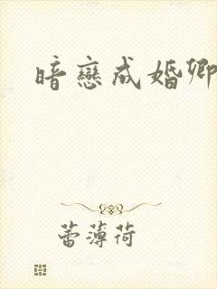 暗恋成婚卿可归