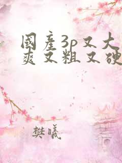 国产3p又大又爽又粗又硬免费