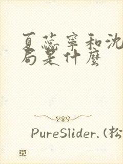 夏蕊宁和沈真结局是什么