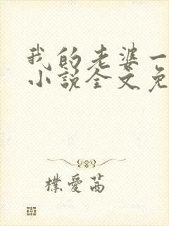 我的老婆一打七小说全文免费阅读