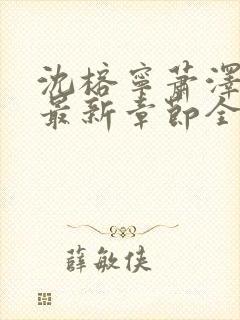 沈榕宁萧泽小说最新章节全文阅读