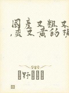 国产又粗又猛又,爽又黄的视频免费