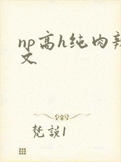 np高h纯肉辣文