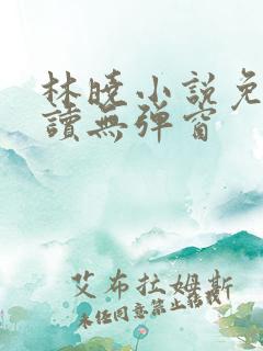 林晓小说免费阅读无弹窗