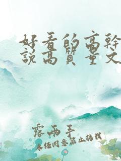 好看的高干文小说高质量文笔好