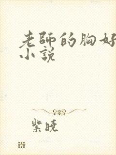 老师的胸好大的小说