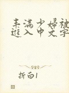 丰满少妇被猛烈进入中文字幕