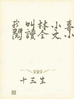 我叫林小喜免费阅读全文小说