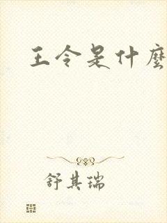 王令是什么境界