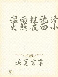 温南枝沈清宴烟火照夜白小说阅读