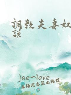 调教夫妻奴的小说