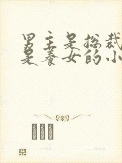 男主是总裁女主是养女的小说