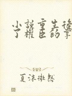 小说重生后我成了权臣的掌中娇正版