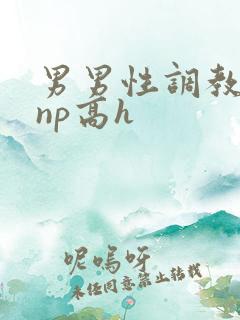 男男性调教小说np高h