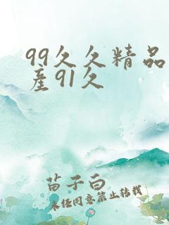 99久久精品国产91久