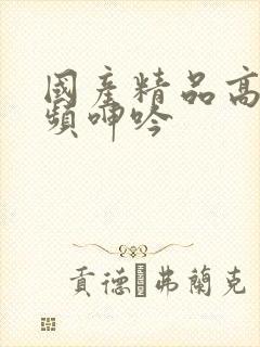 国产精品高潮视频呻吟