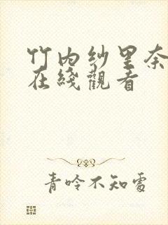 竹内纱里奈av在线观看