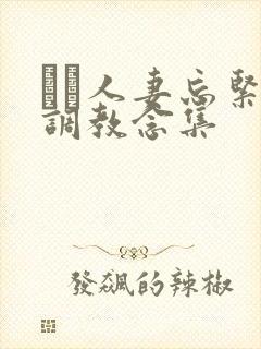 縄酔人妻忘紧缚调教念集