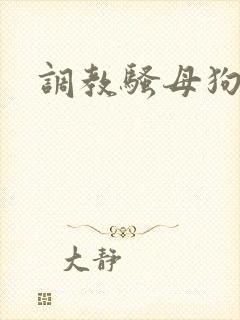 调教骚母狗屁眼