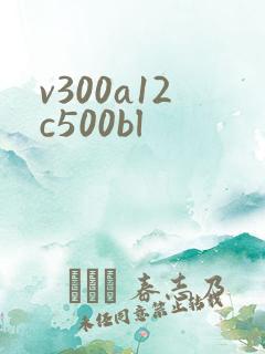 v300a12c500bl
